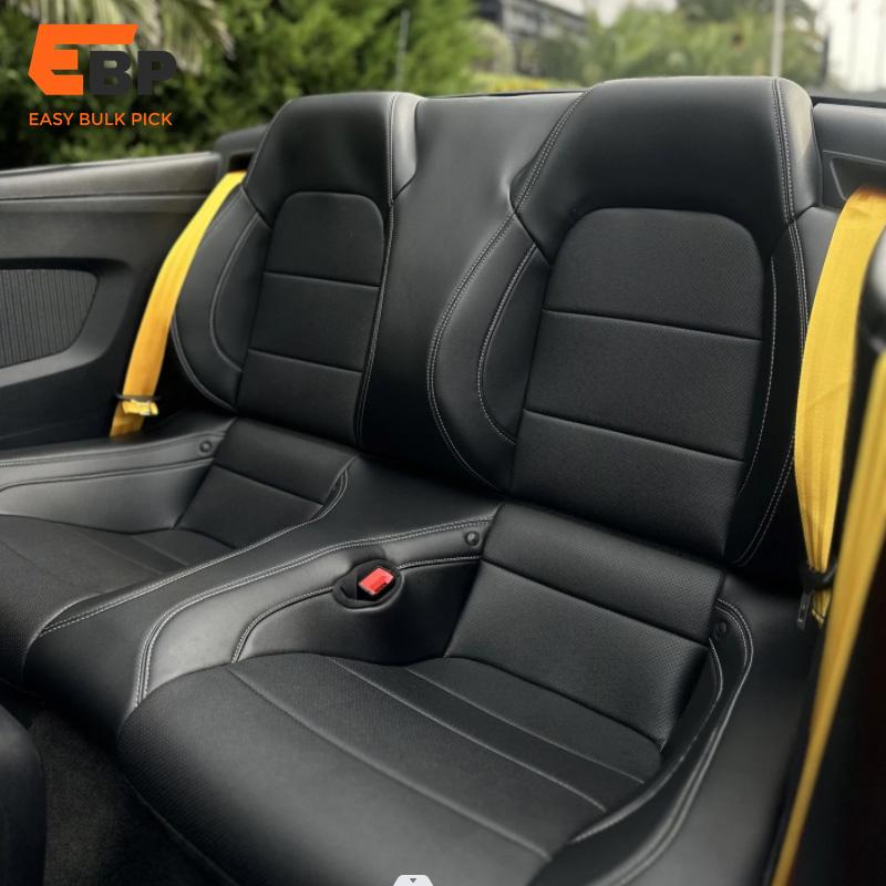 car seat belt webbing